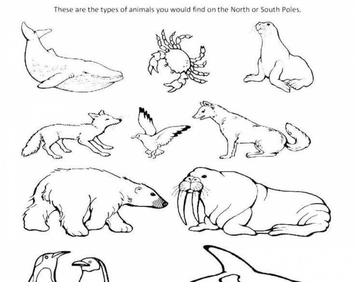 Adorable arctic arctic seal swimming coloring page