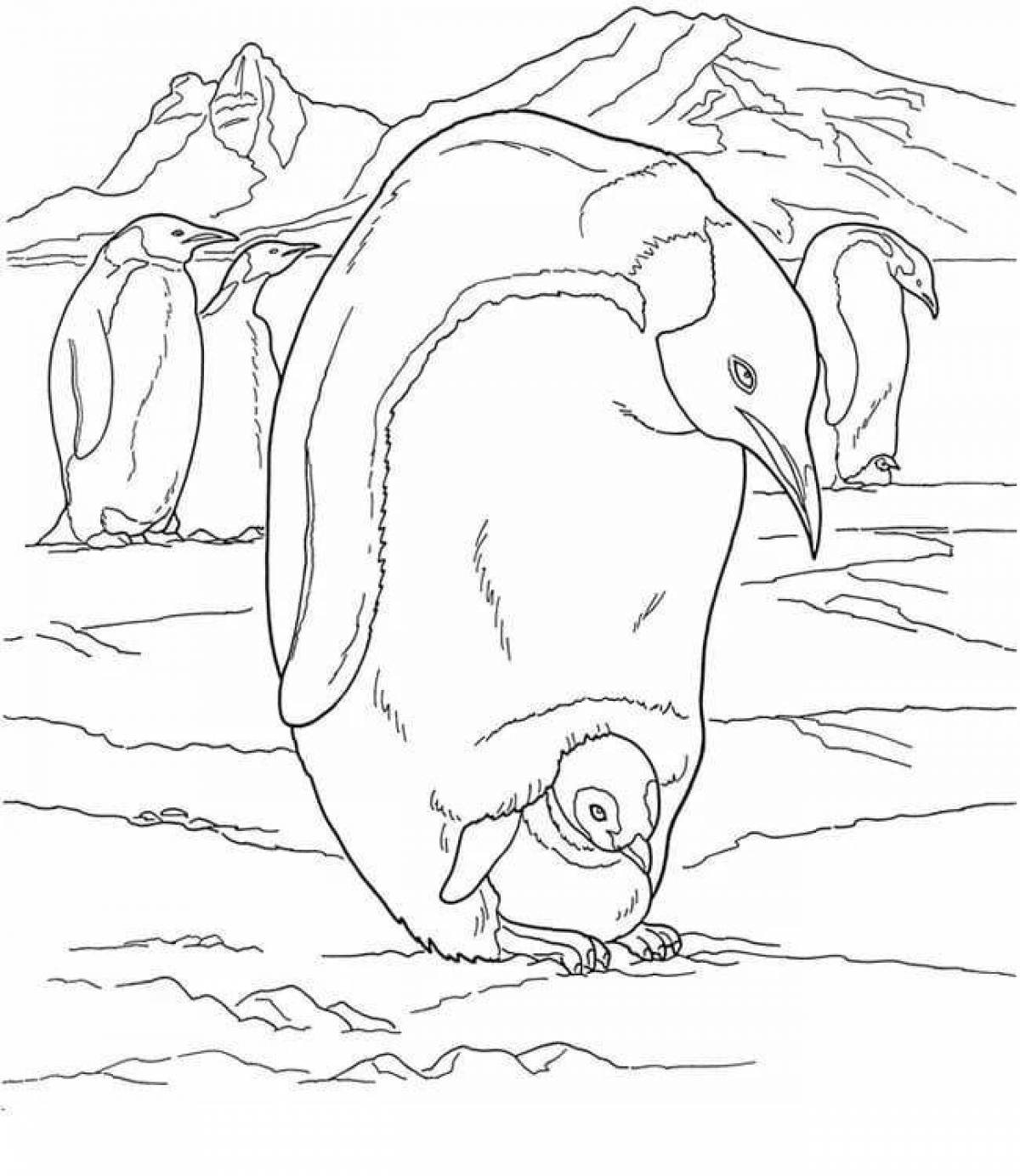 Colorful Antarctic krill feeding coloring page