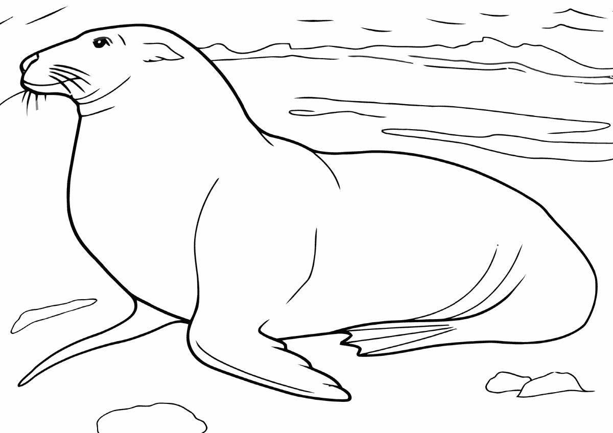 Раскраска свирепый арктический арктический морж, плавающий