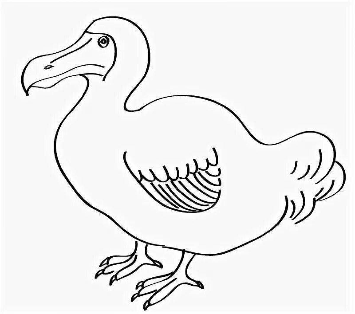 Playful dodo coloring