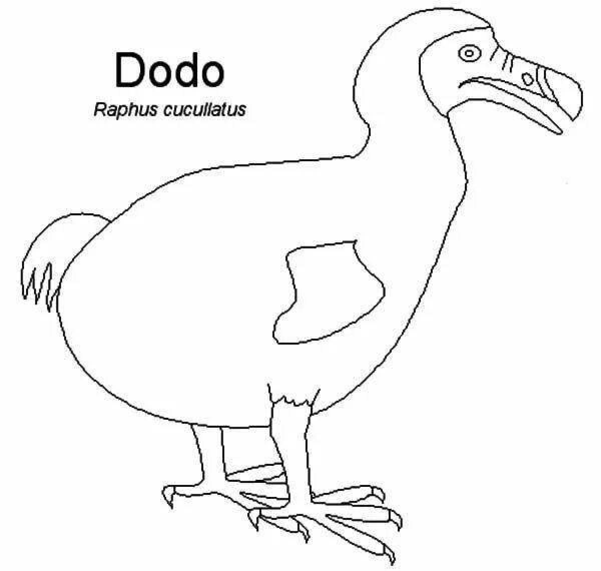 Fairy dodo coloring book
