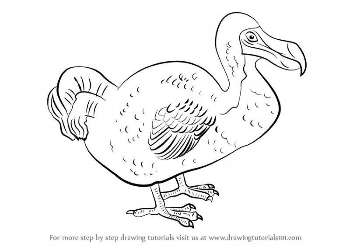 Humorous dodo coloring