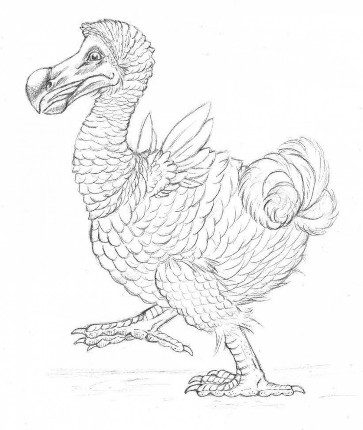 Exciting dodo coloring