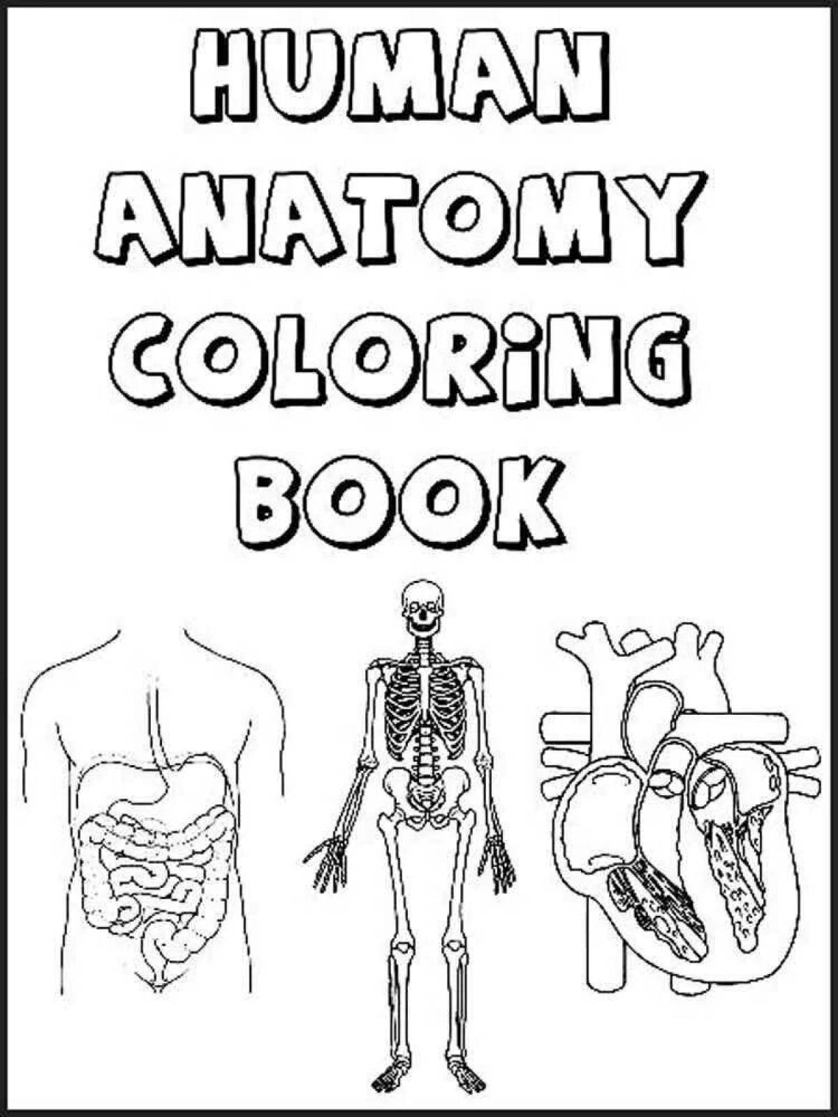 Exquisite anatomy coloring page