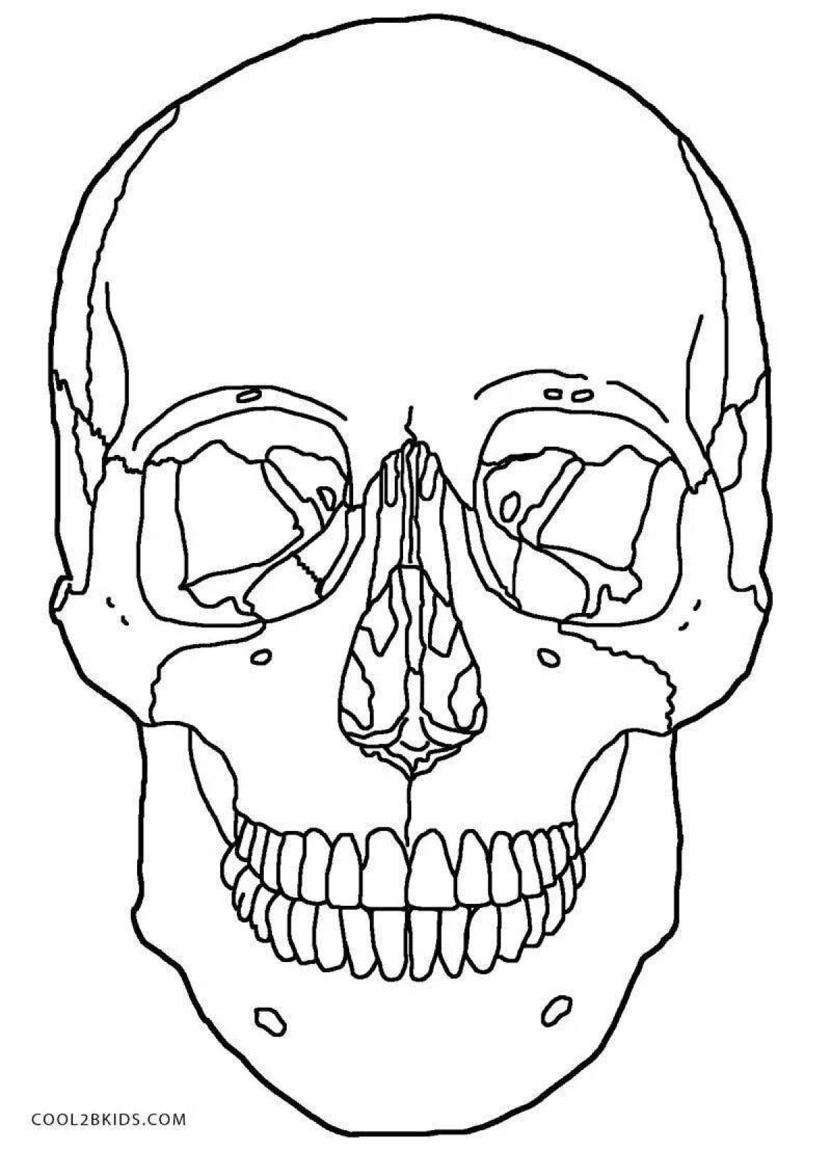 Awesome anatomy coloring page