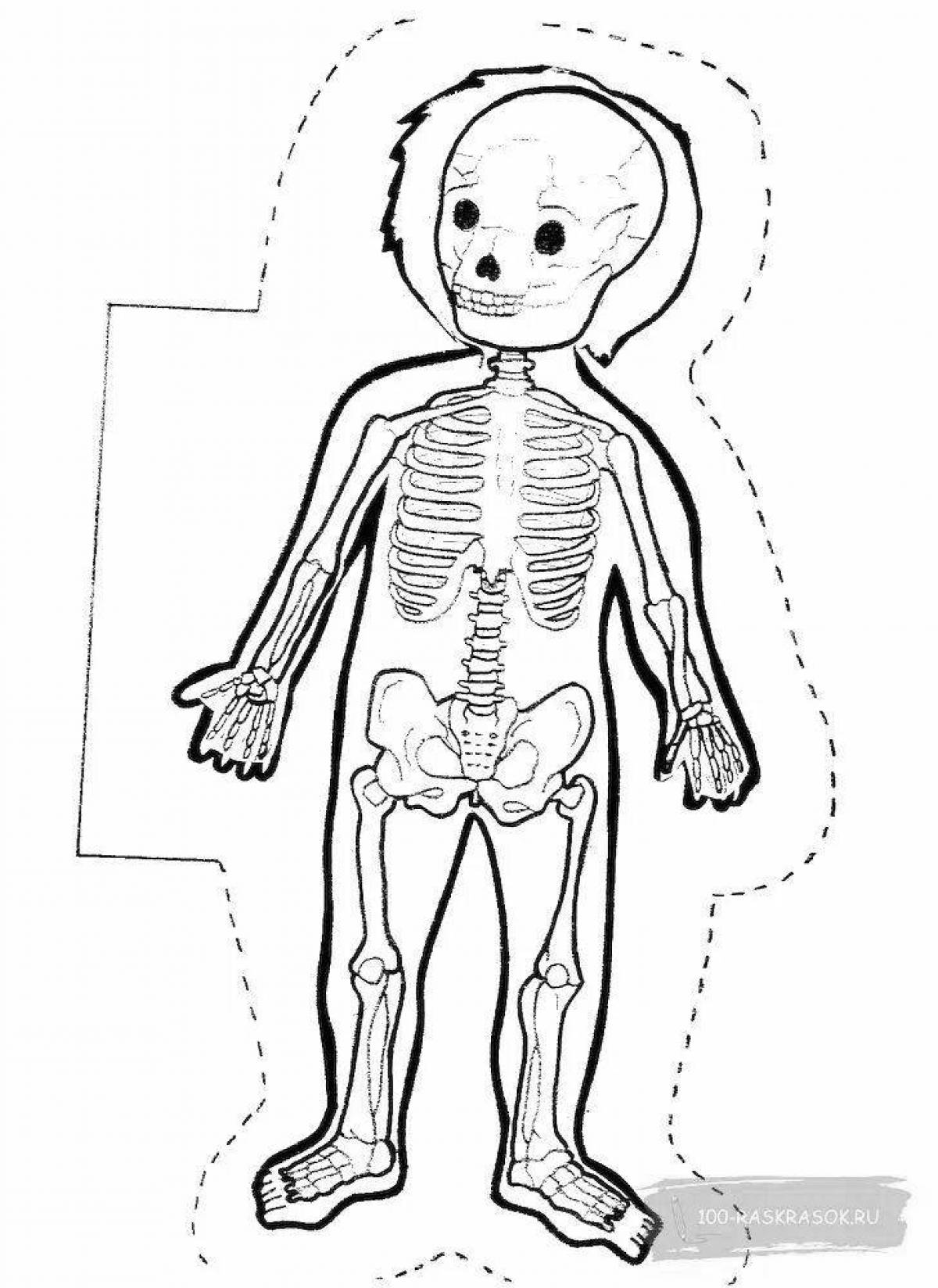 Great anatomy coloring page