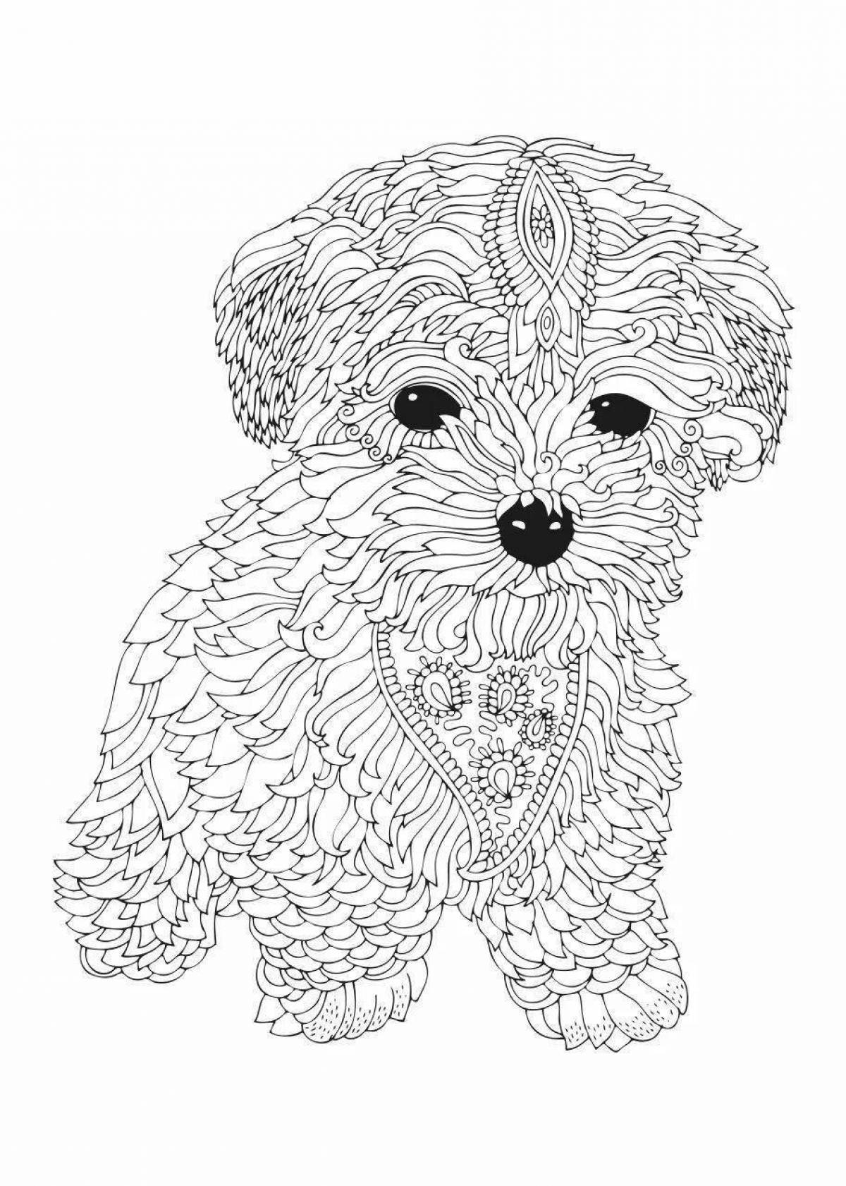 Anti-stress coloring book charming dog