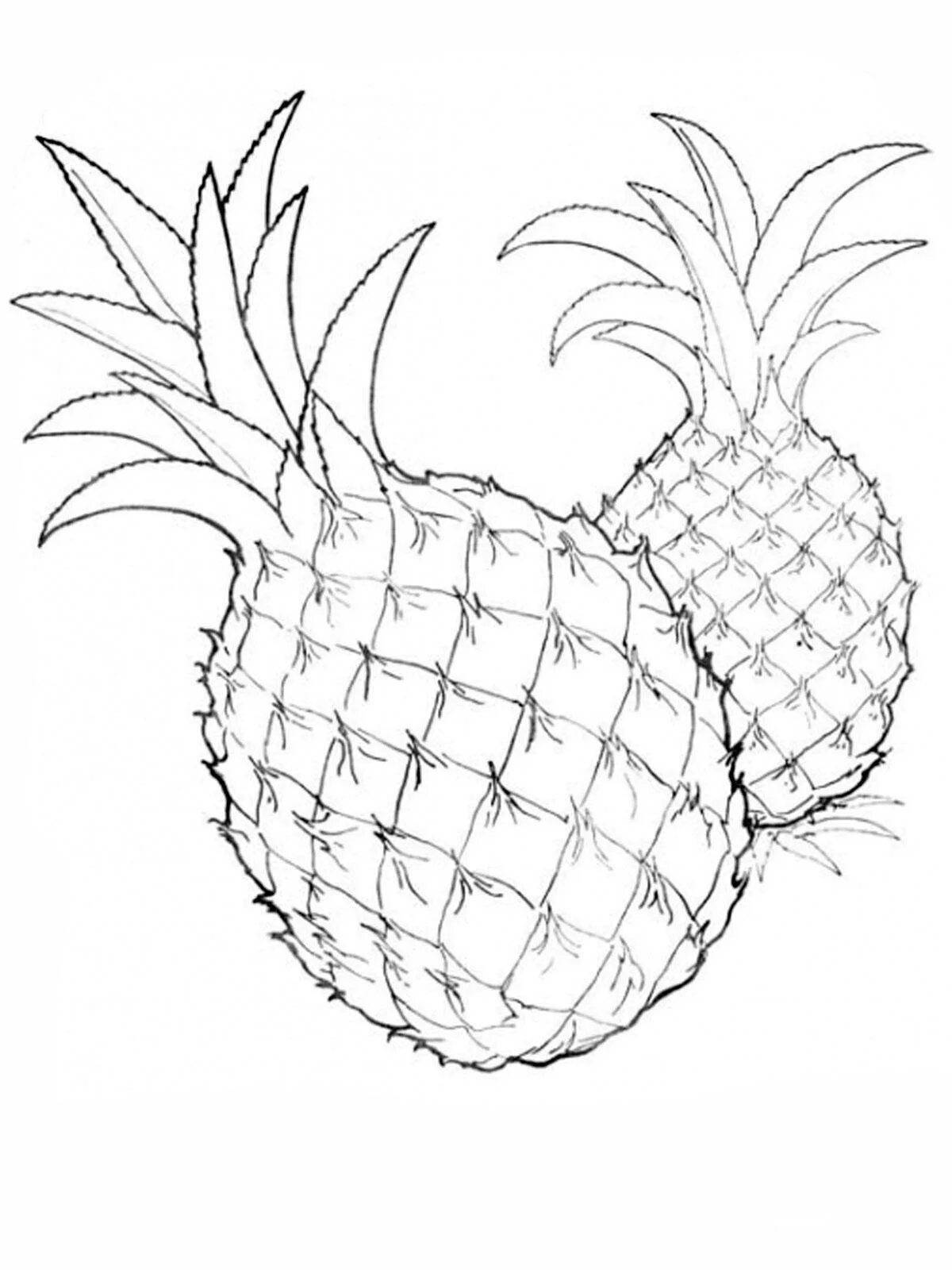 Pineapple coloring book for kids