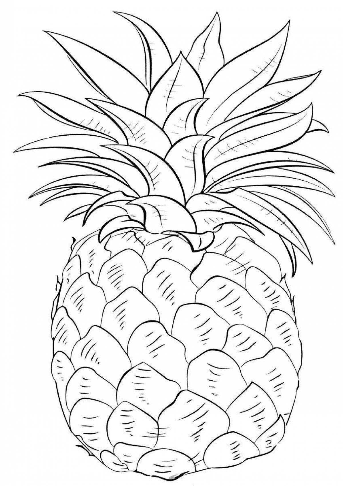 Color-splash pineapple coloring book for kids