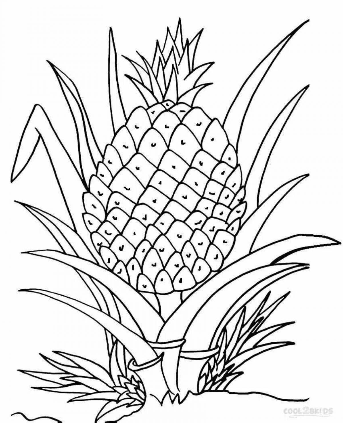 Pineapple for kids #16