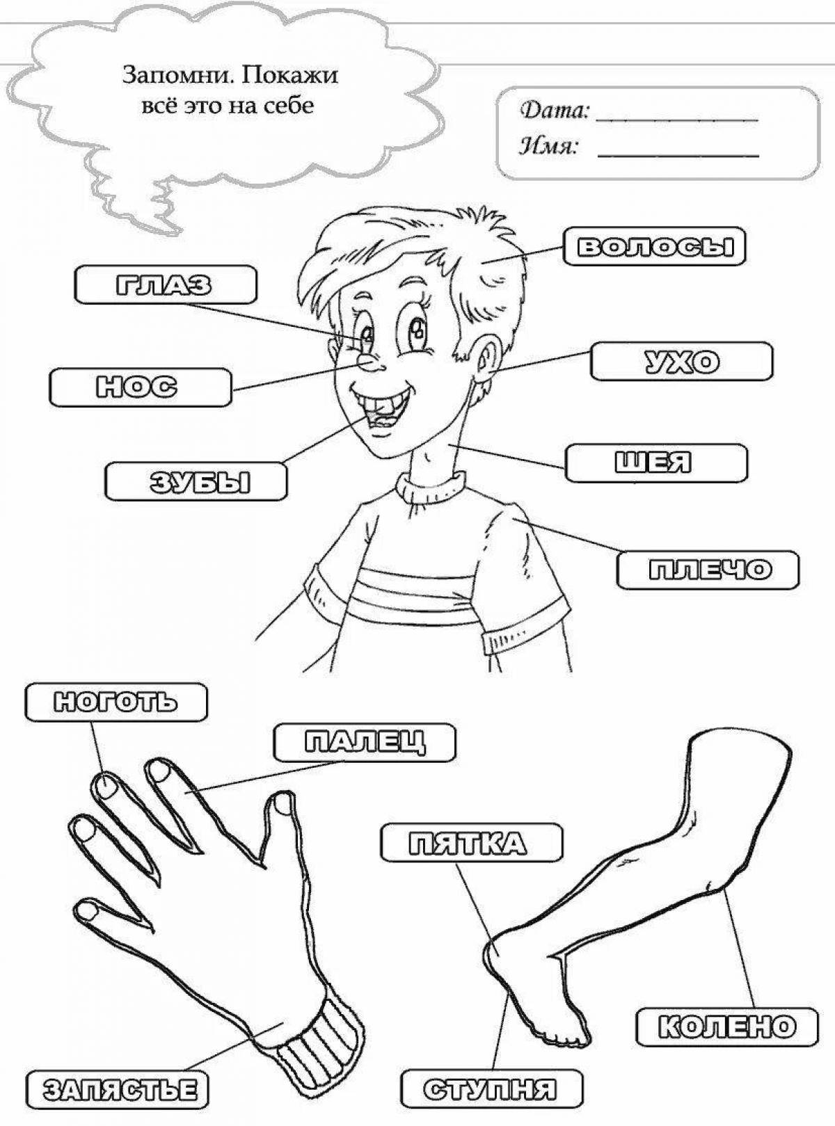 Creative human body part coloring for kids