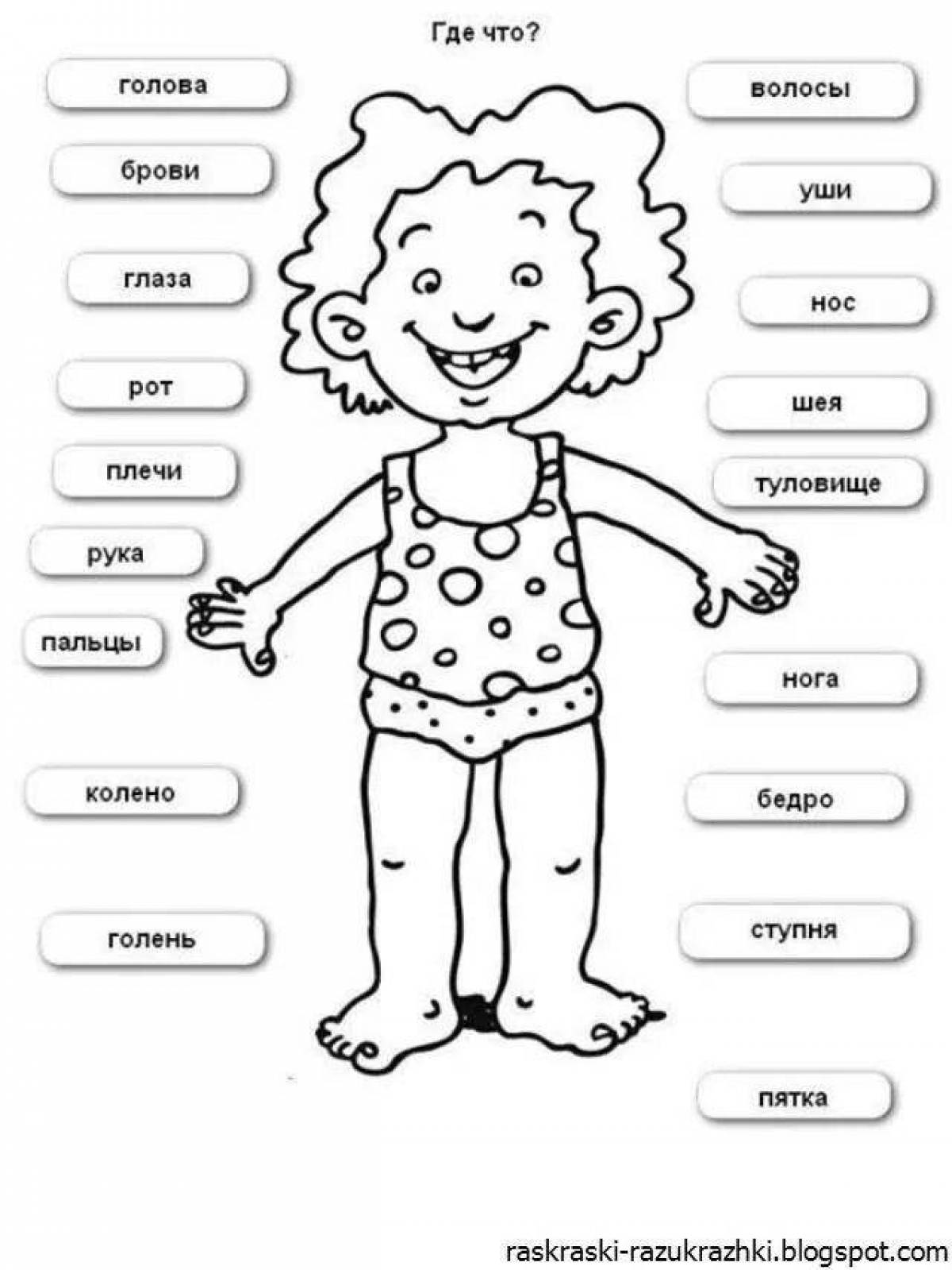 Human body parts for kids #2