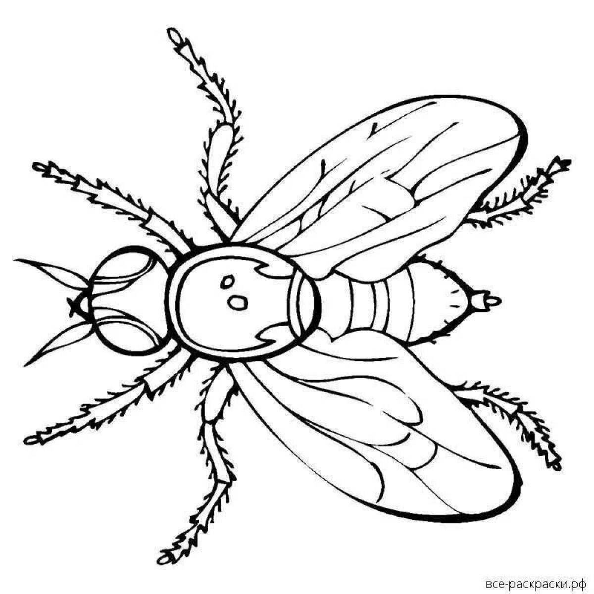 Картинка муха для детей черно белая