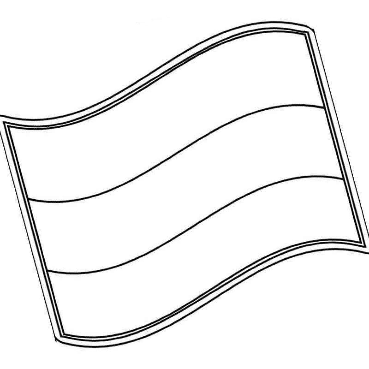 Coloring book shining flag for kids