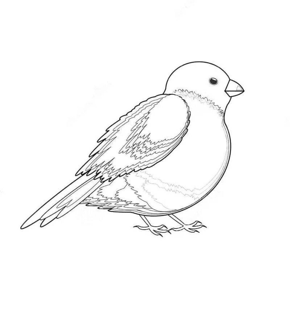 Coloring book cheerful bullfinch for children
