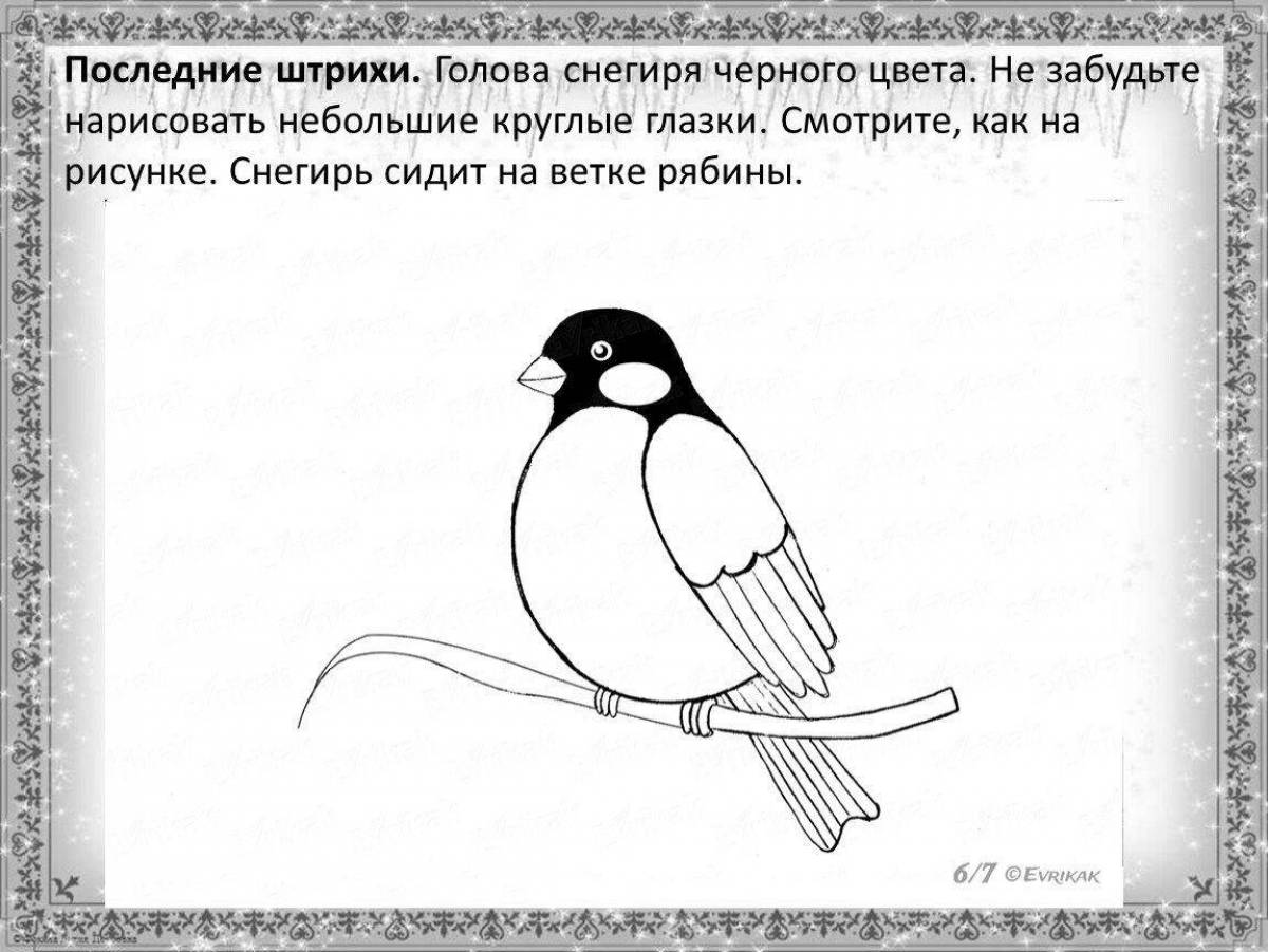 Adorable bullfinch coloring page for kids