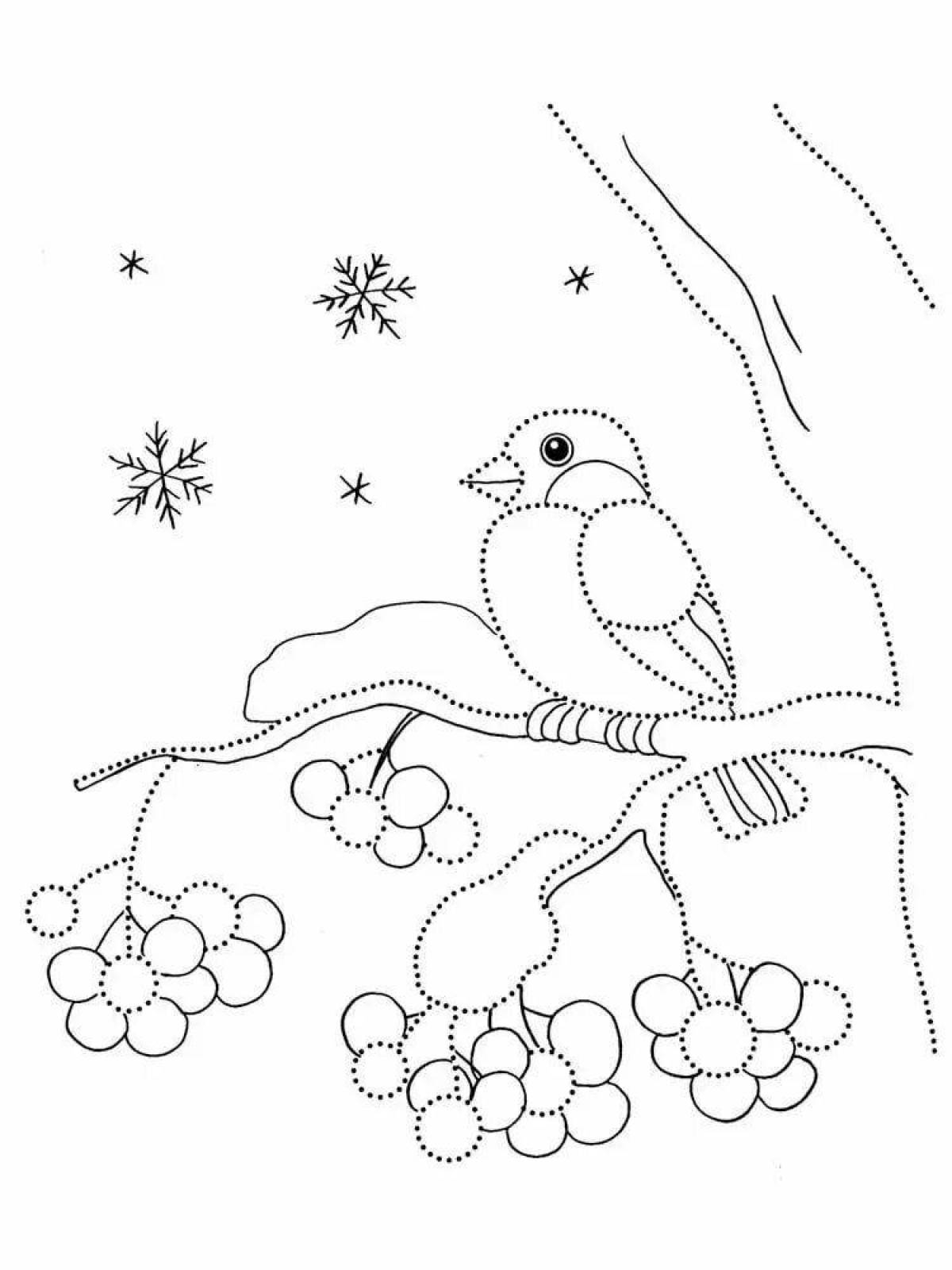 Fancy coloring bullfinches for kids