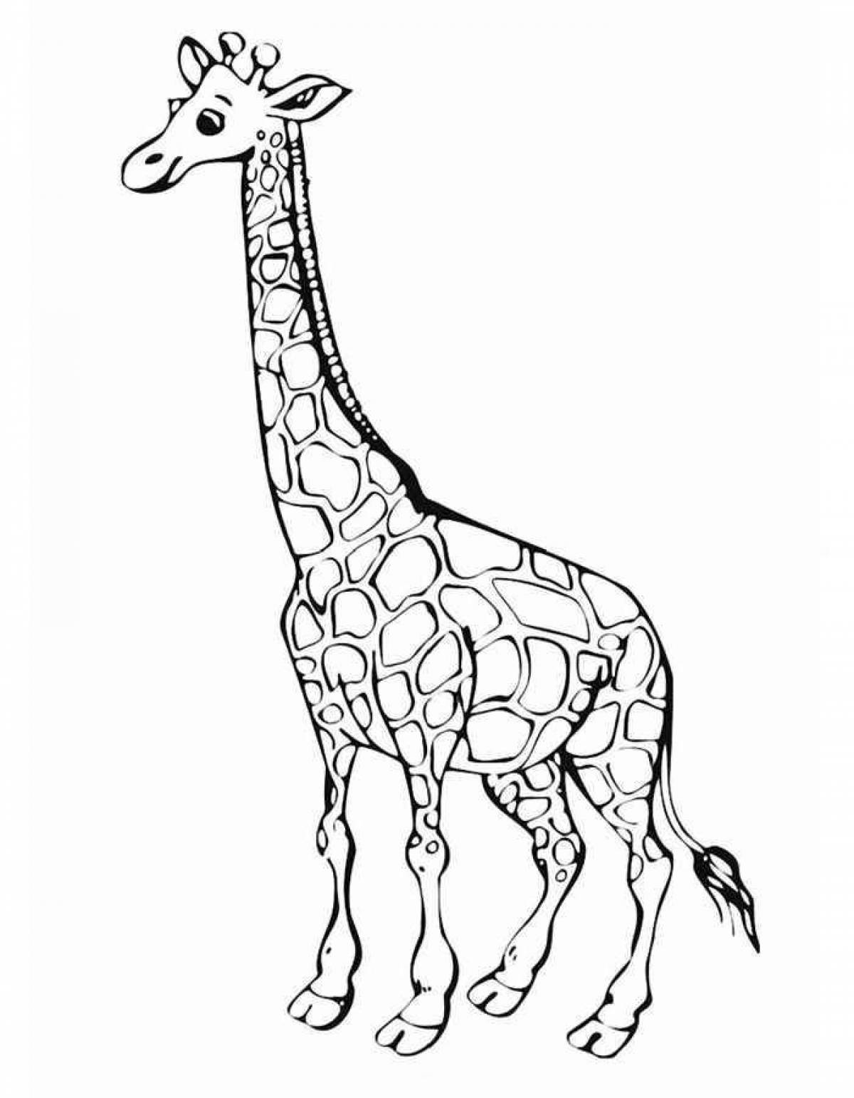 Увлекательная раскраска жираф для детей