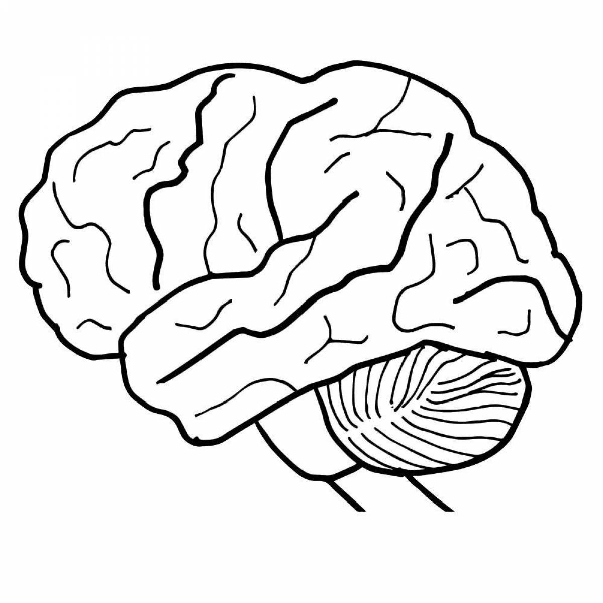 Intricate brain coloring page