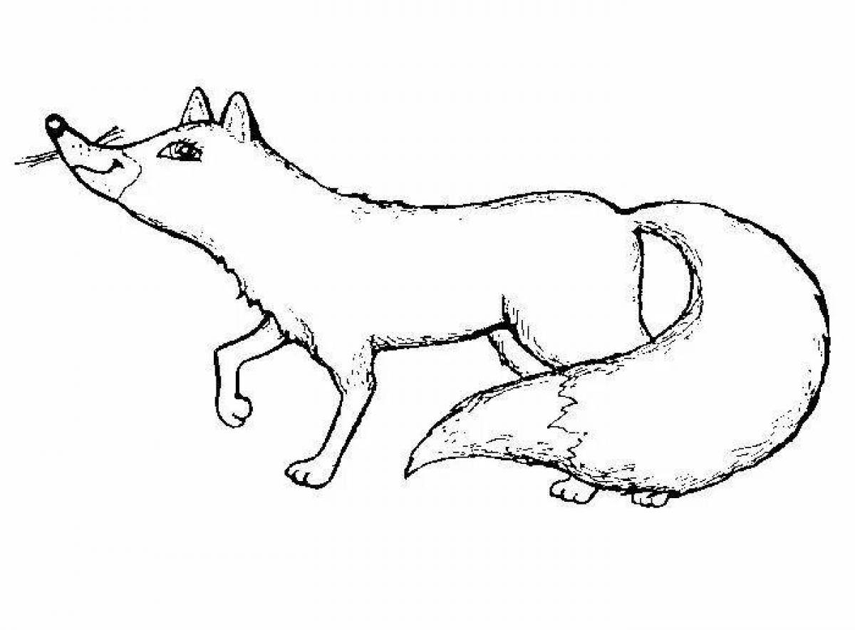 Funny fox coloring