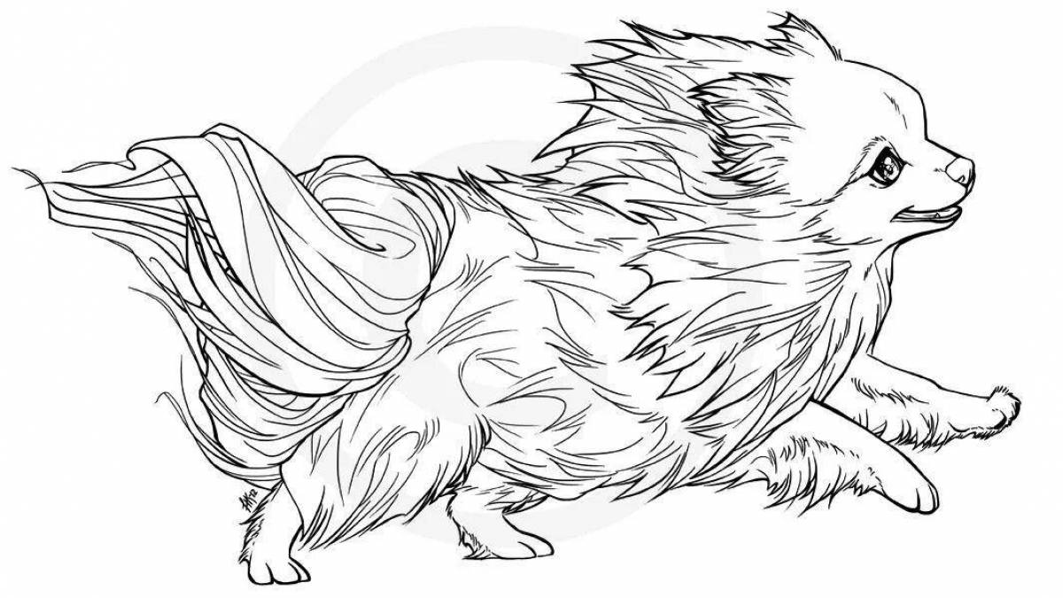 Photo Fluffy spitz coloring book