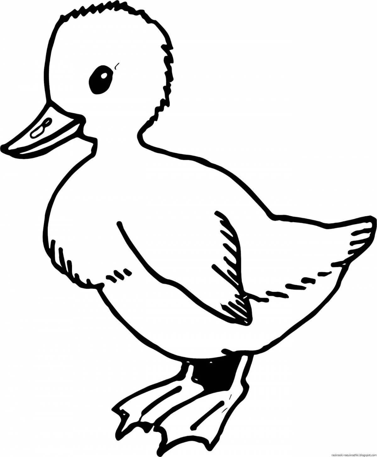 Раскраска «игривая утка» для детей