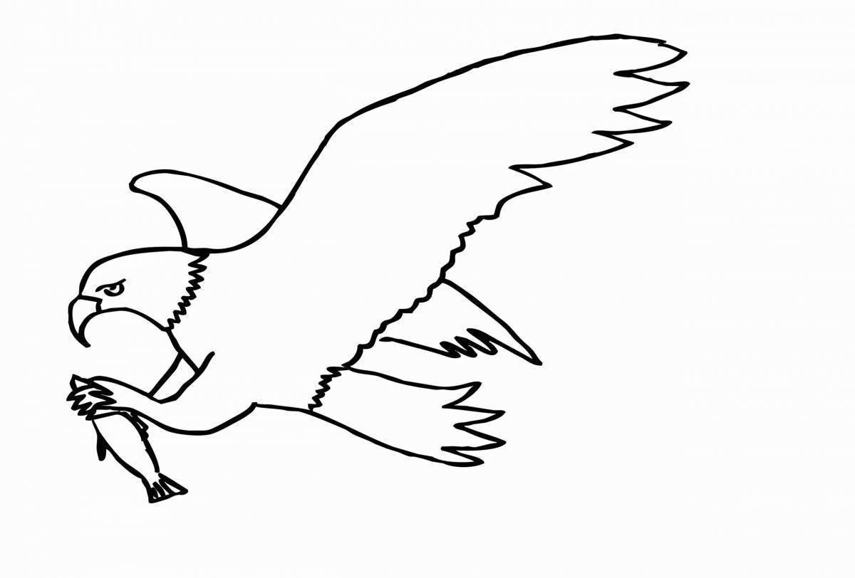 Раскраска величественный орел для детей
