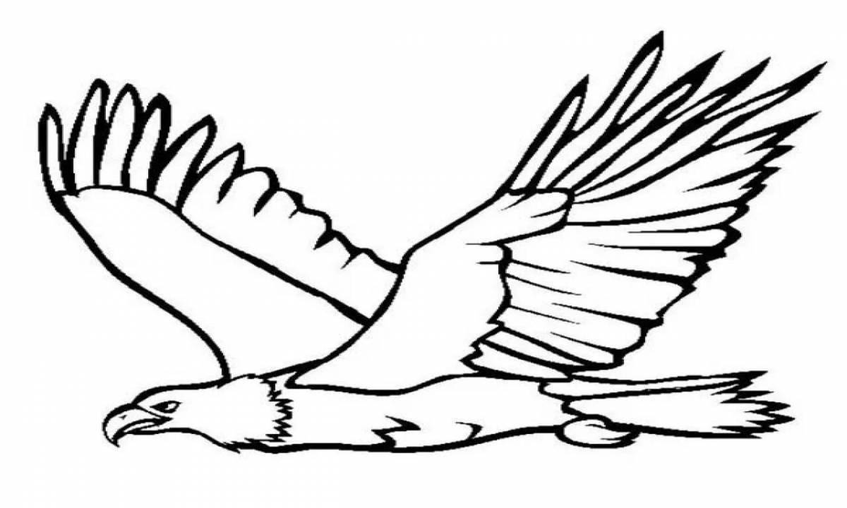Glorious eagle coloring pages for kids