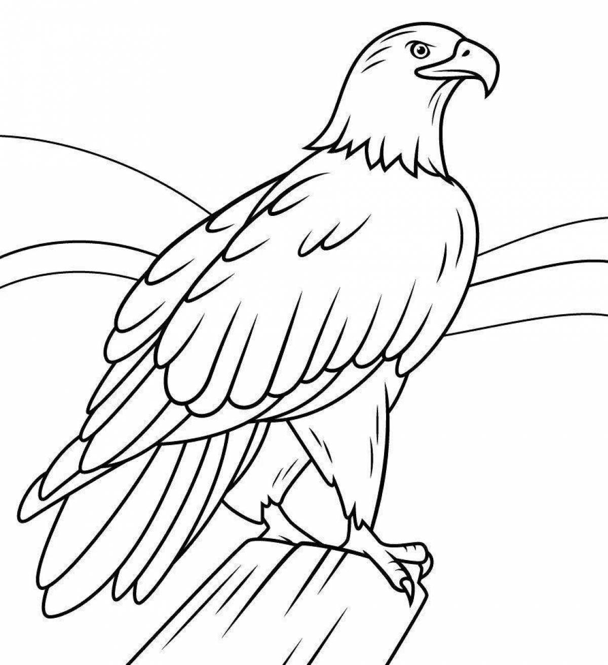 Gorgeous eagle coloring book for kids