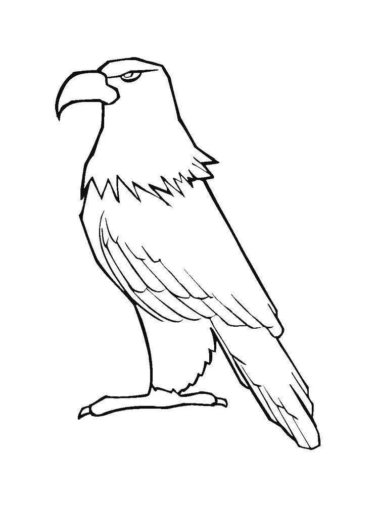 Radiant eagle coloring page for kids