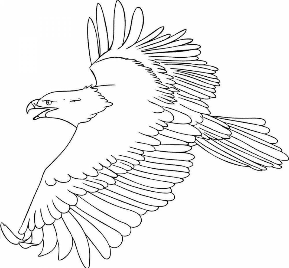 Изысканная раскраска орла для детей