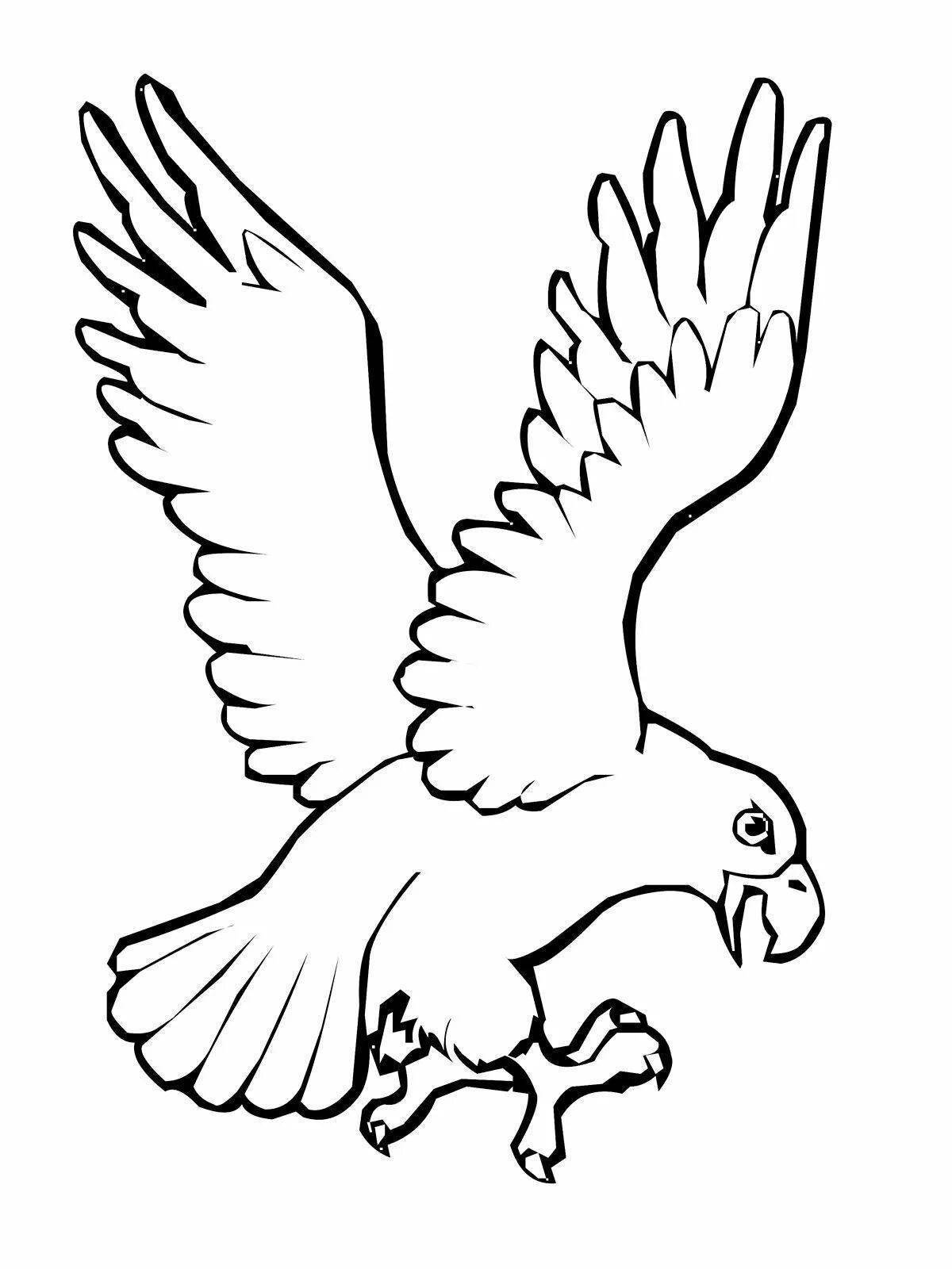 Coloring book dazzling eagle for kids