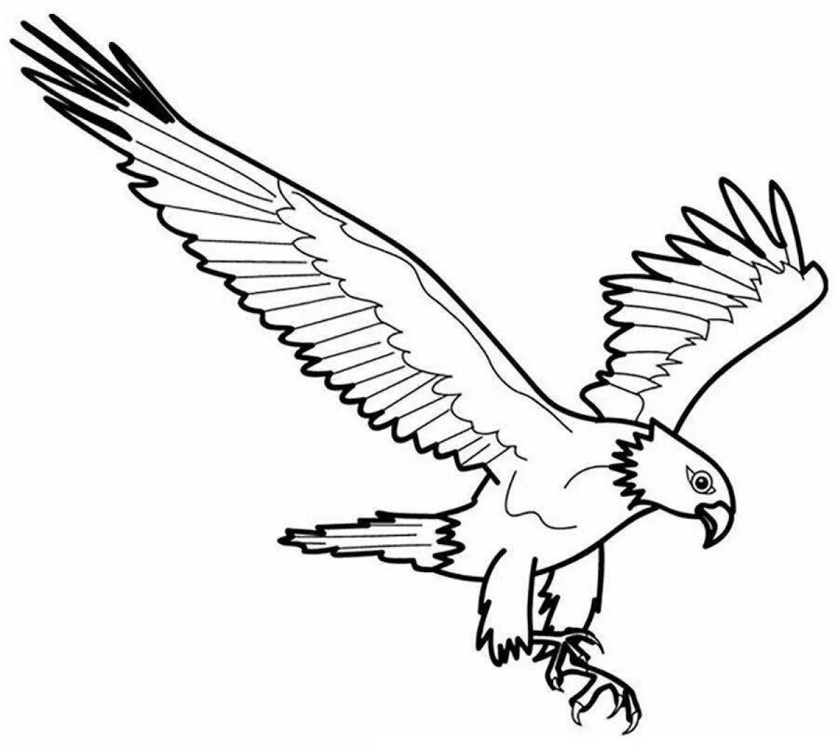 Splendorous eagle coloring book for kids
