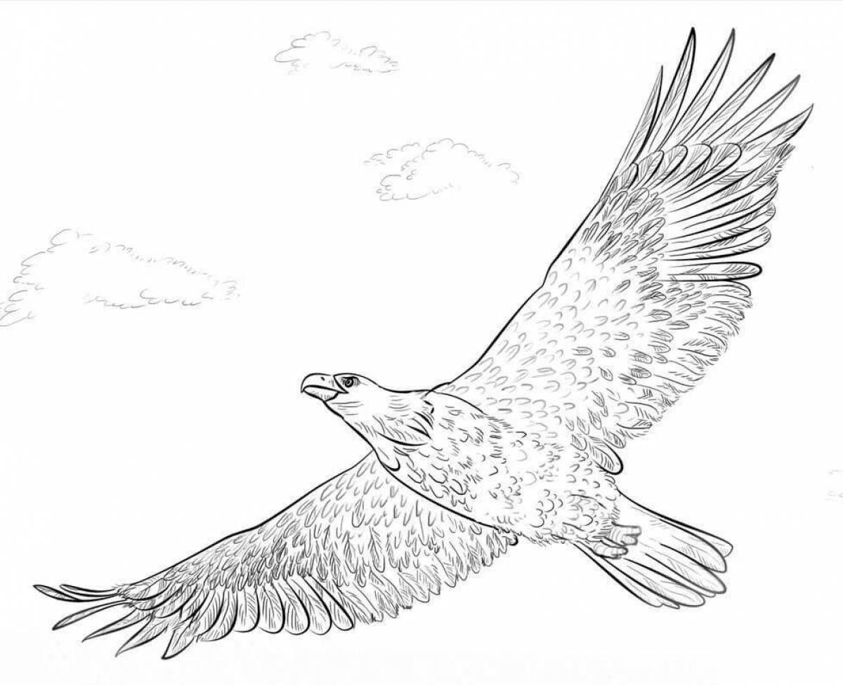 Glowing eagle coloring page for kids