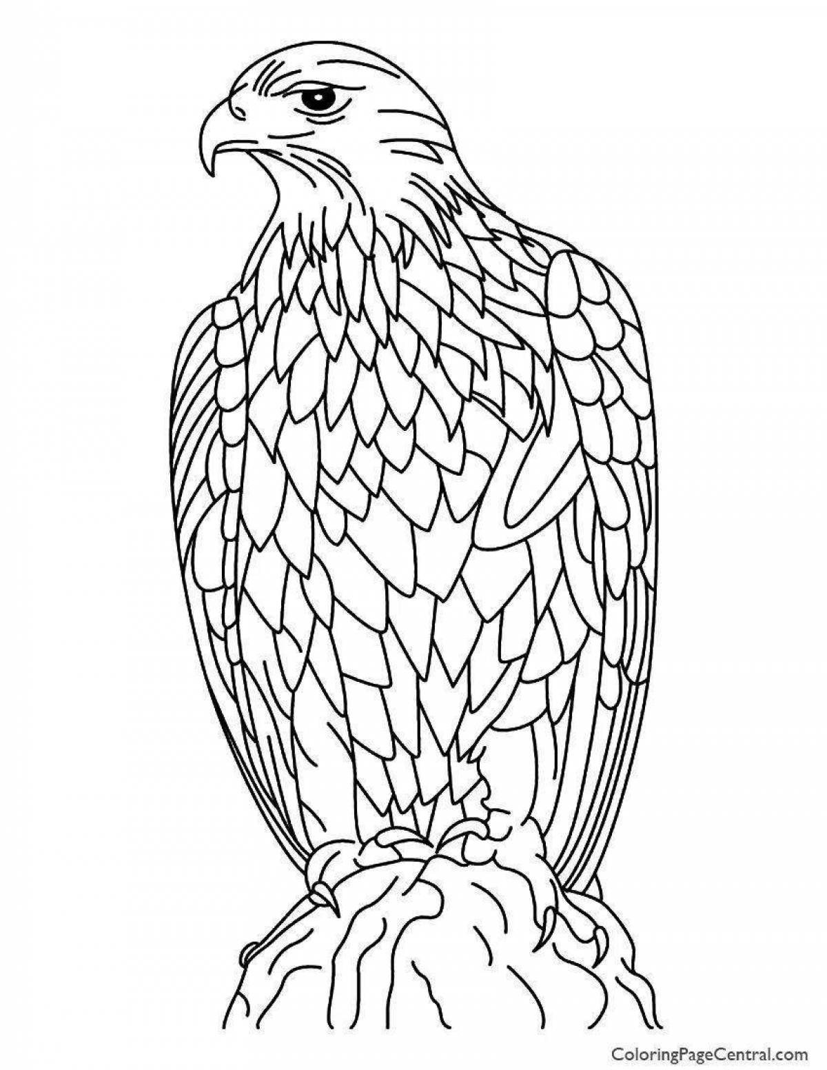 Glorious eagle coloring book for kids