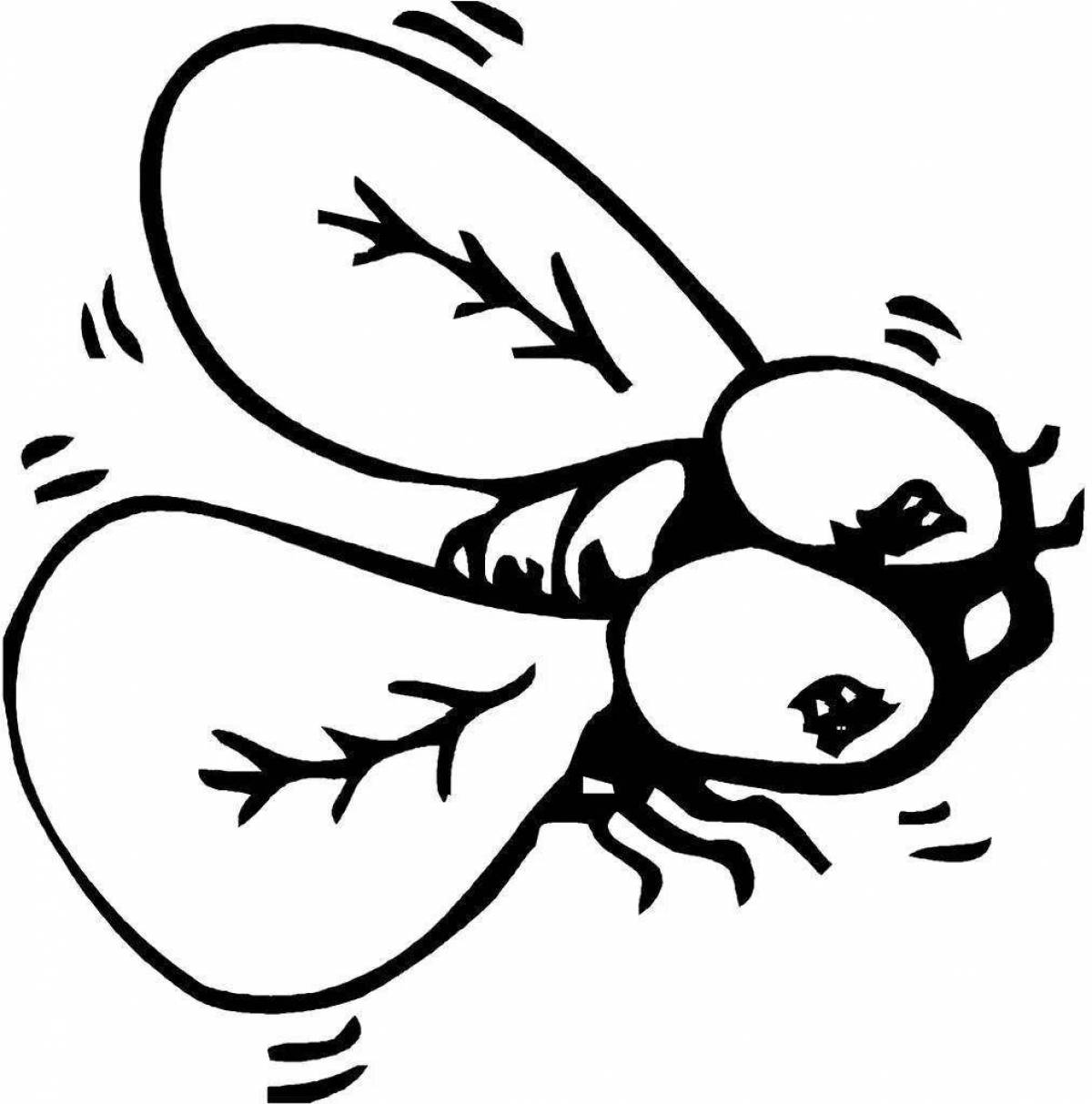 Colorful fly coloring page for kids