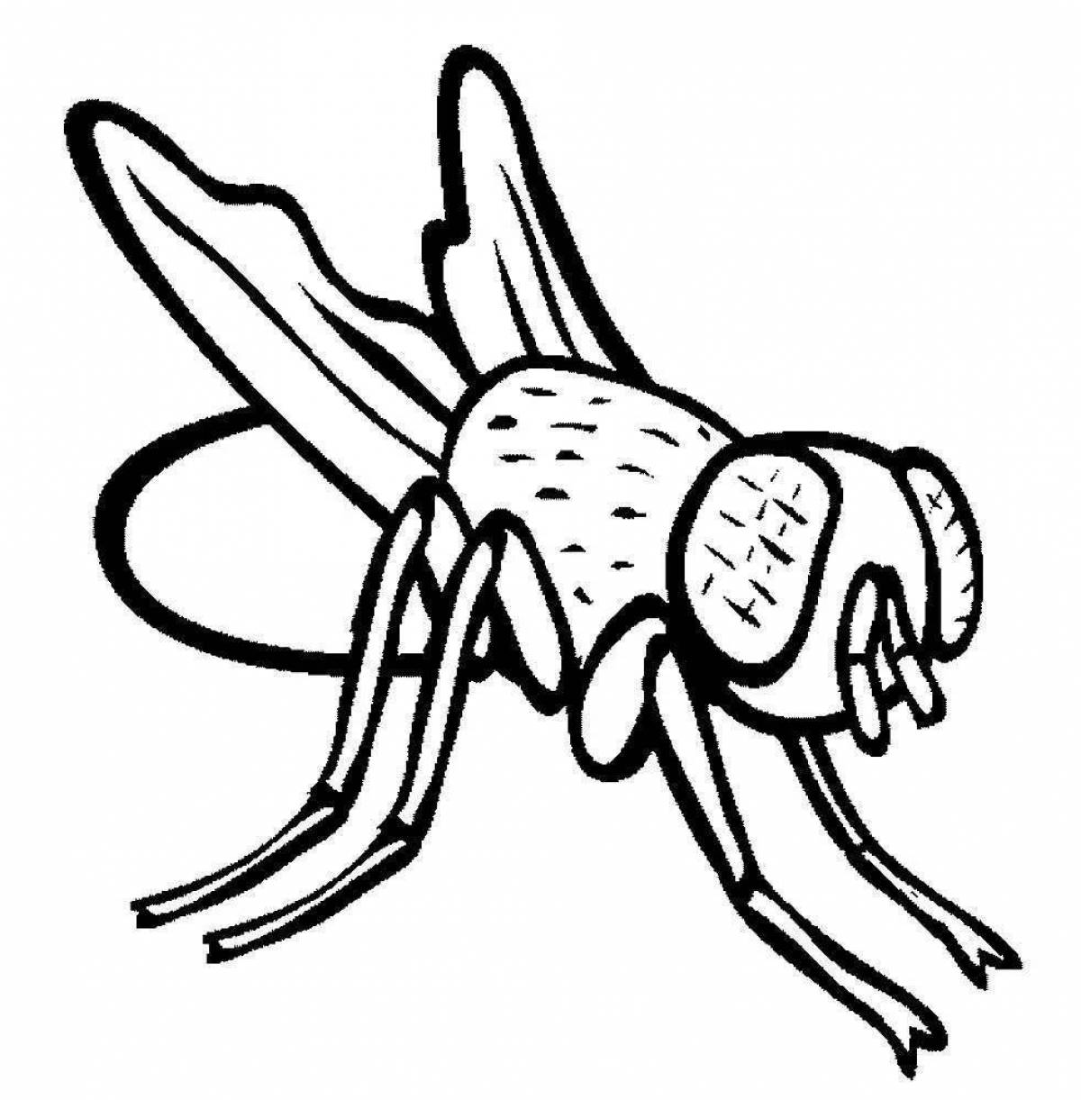 Coloring fly for kids