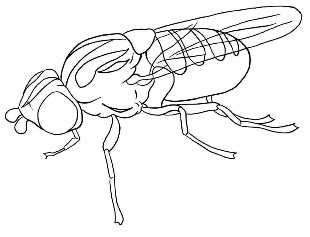 Joyful fly coloring book for kids