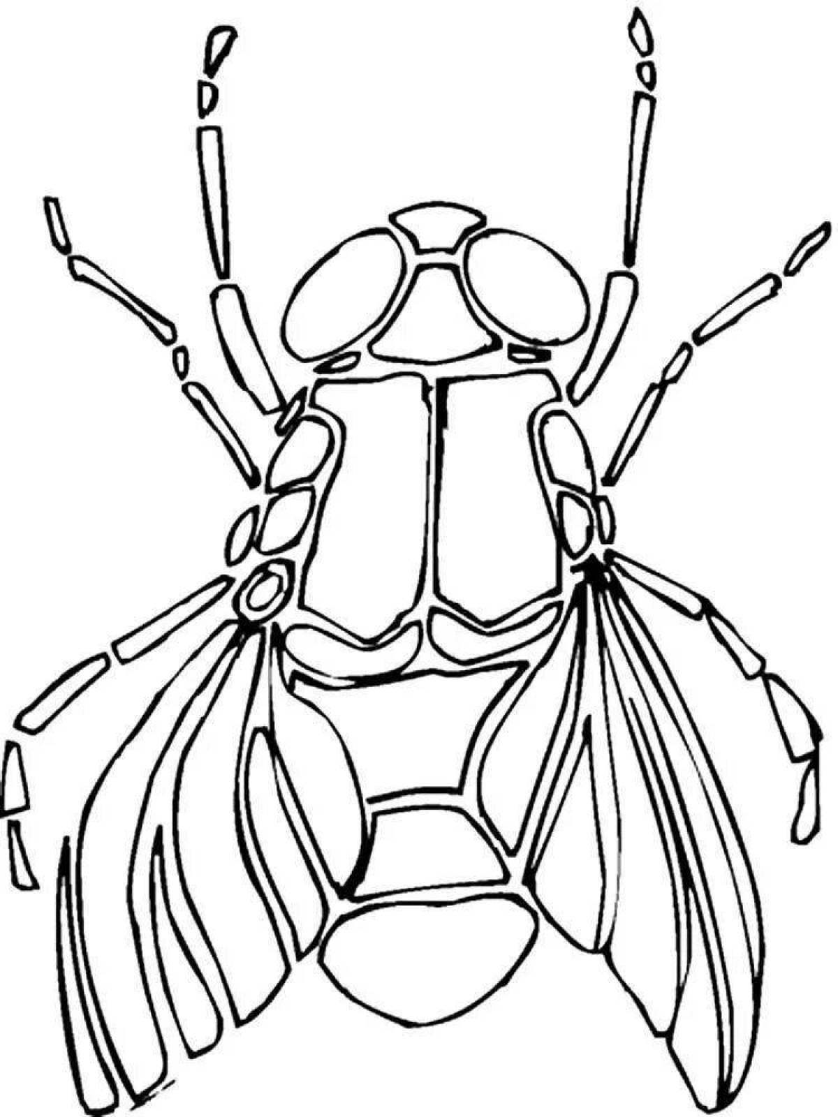 Cute fly coloring page for kids