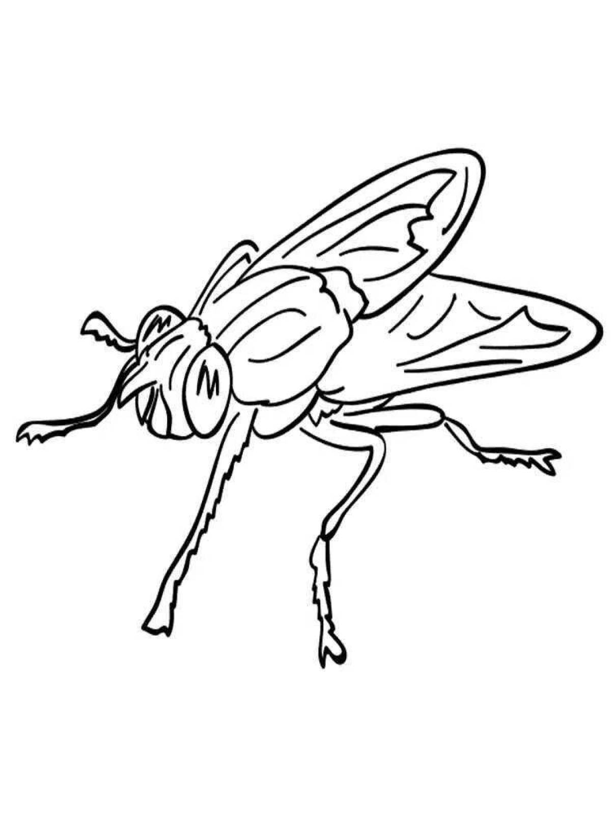 Раскраска «волшебная муха» для детей