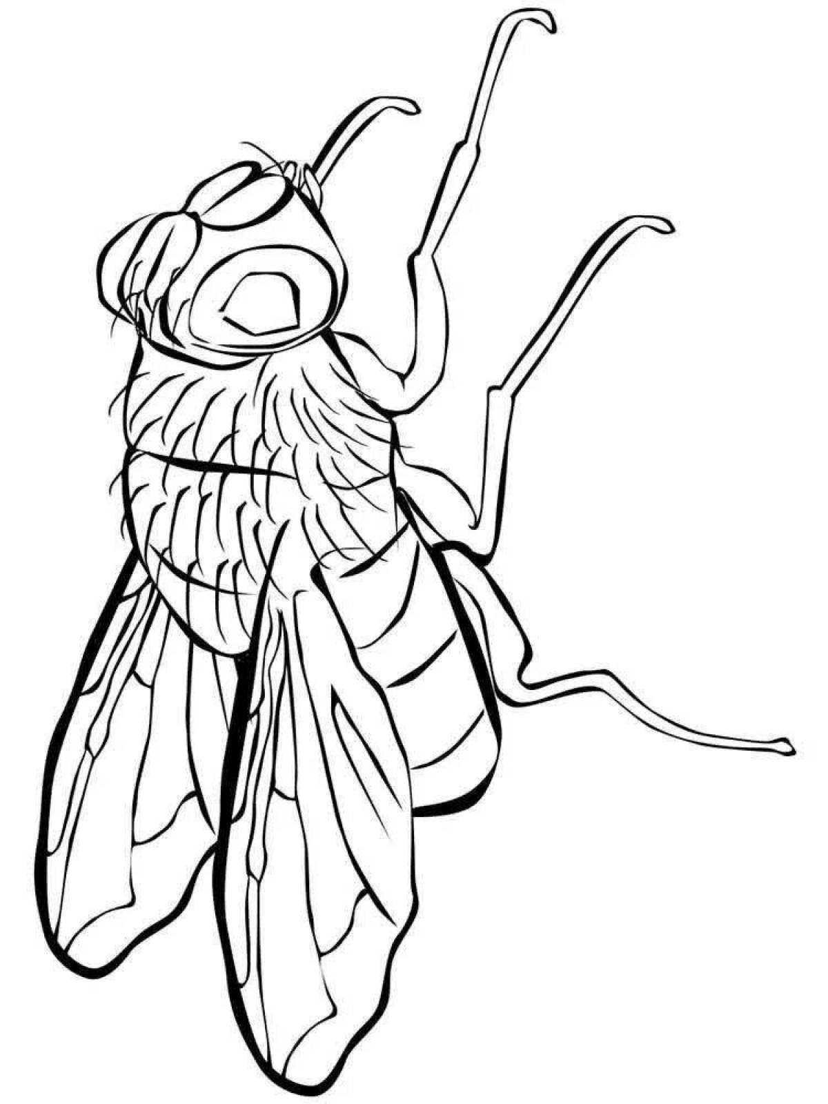 Glowing Fly Coloring Page for Kids