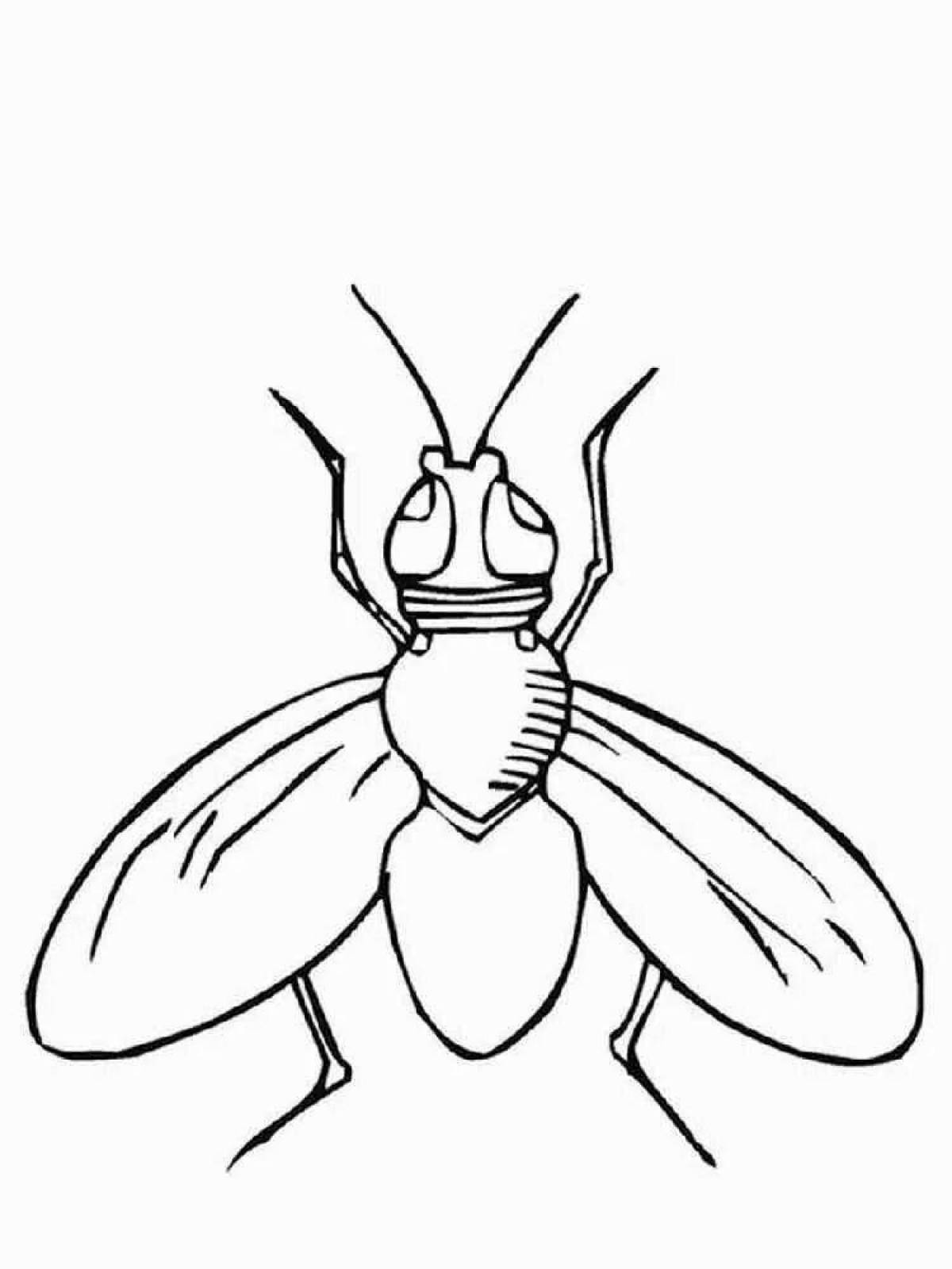 Glittering Flies Coloring Page for Kids