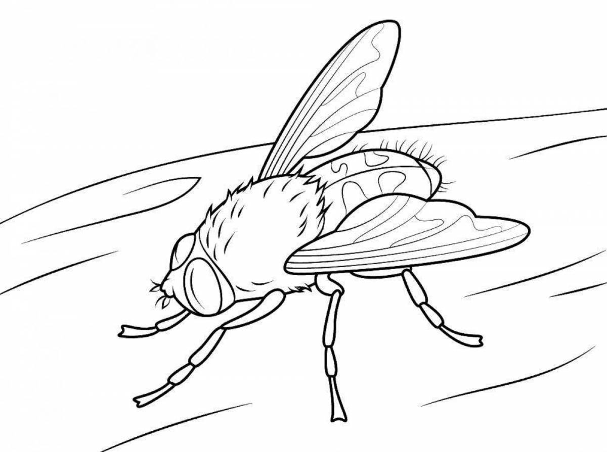 Glowing fly coloring page for kids