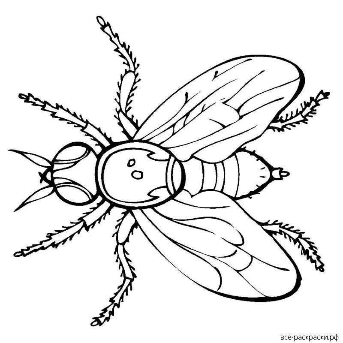 Анимированная страница раскраски мух для детей