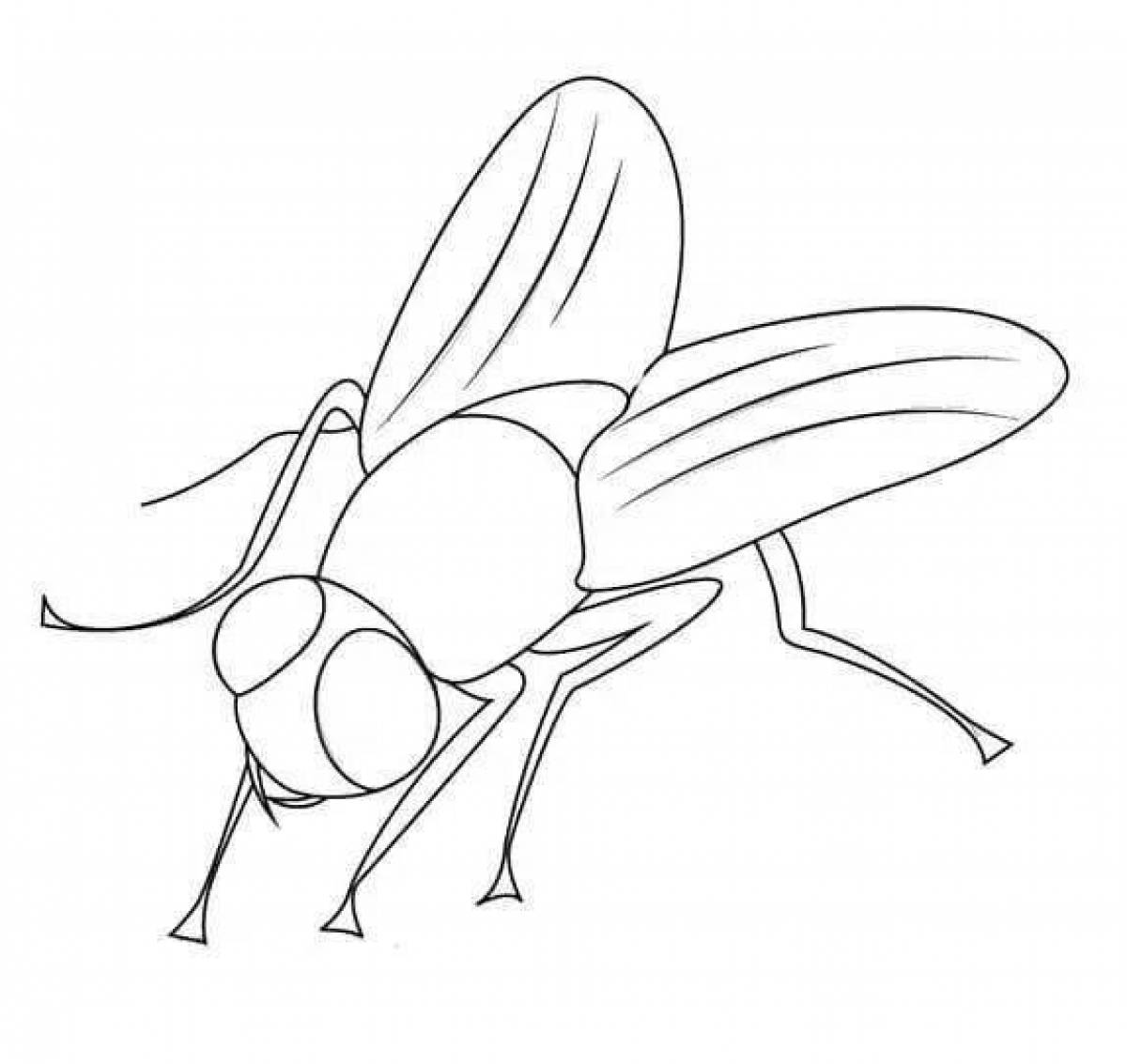 Fat fly coloring page for kids