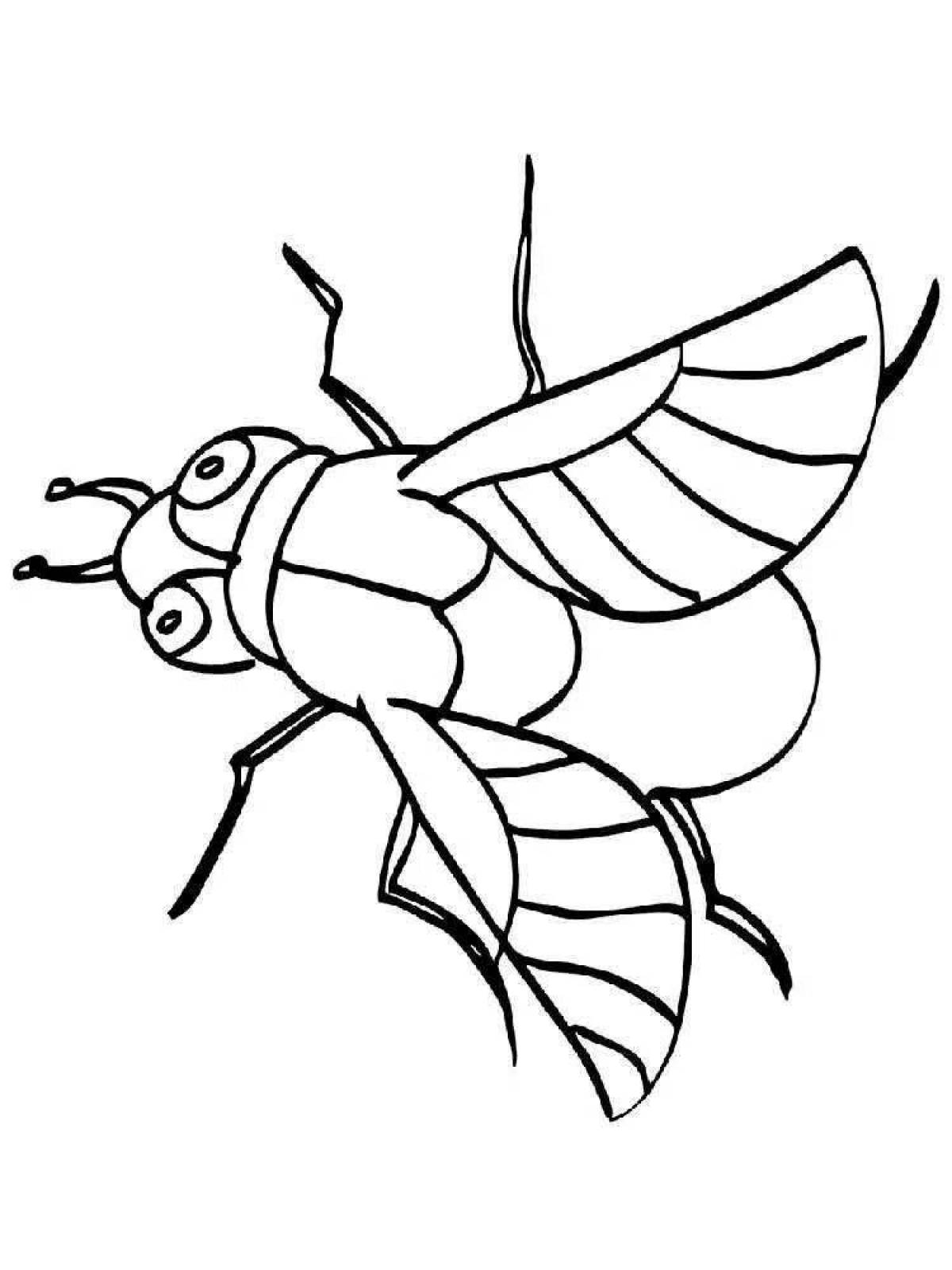 Attractive fly coloring book for kids