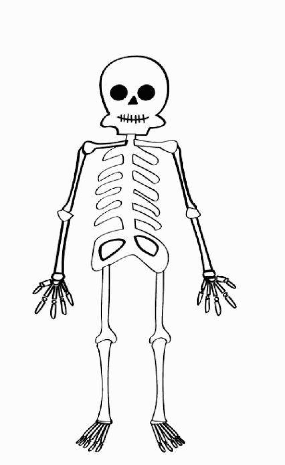 Раскраска скелет человека для детей