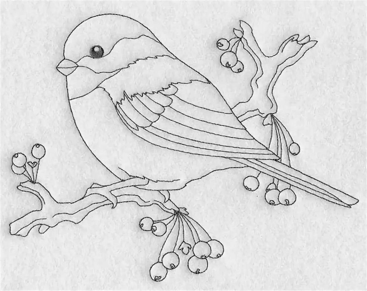 Bullfinch on branch for kids #11