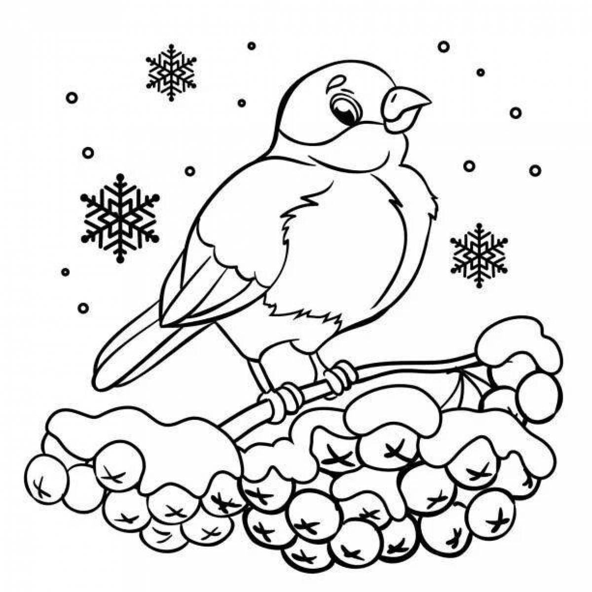 Снегирь птица раскраска для детей (45 фото)