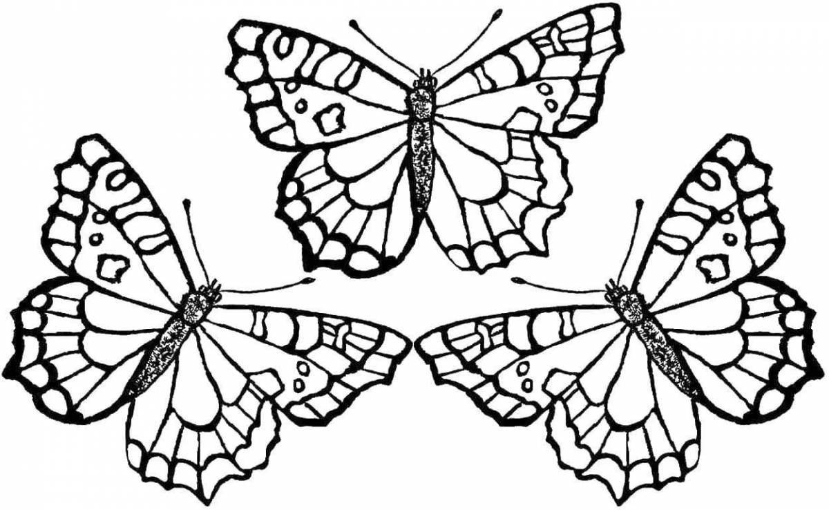 Красивая раскраска бабочки для детей 4-5 лет